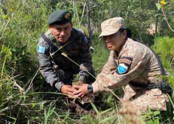 Soldados contribuyeron a la plantación de árboles. /Foto: Ejército de Guatemala