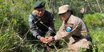 Soldados contribuyeron a la plantación de árboles. /Foto: Ejército de Guatemala