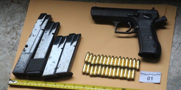 DIDAE ha incautado 30 armas y 127 municiones en 2023. / Foto: PNC.