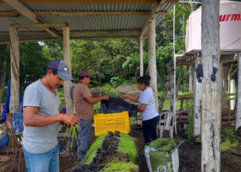 MAGA y Municipalidad unen esfuerzos. / Foto: MAGA.