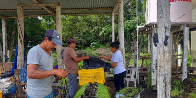 MAGA y Municipalidad unen esfuerzos. / Foto: MAGA.