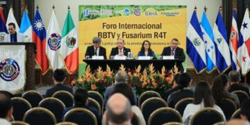 Foro internacional aborda amenazas para la producción bananera