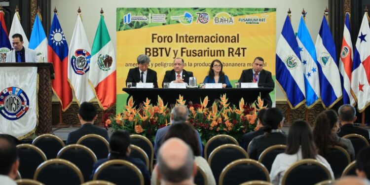 Foro internacional aborda amenazas para la producción bananera