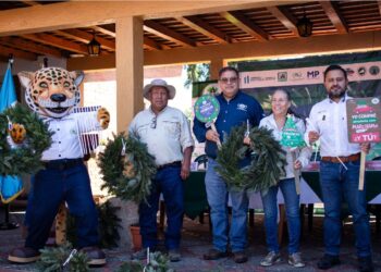 Inauguran ferias del pinabete 2023 en Guatemala