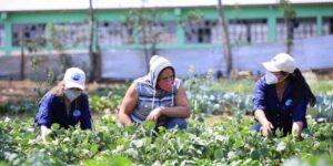 Los extensionistas del Maga apoyan para el desarrollo rural.