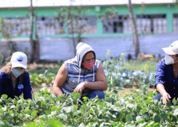 Los extensionistas del Maga apoyan para el desarrollo rural.