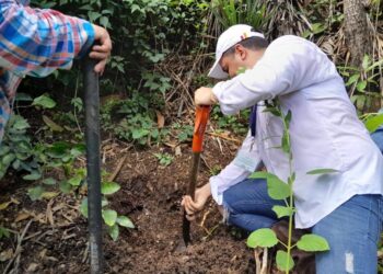Practicaron mediciones en los suelos de la localidad. / Foto: MAGA.
