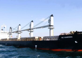 La iniciativa Granos del Mar Negro ha permitido la exportación de más de 35 millones de toneladas de alimentos a 45 países, entre ellos Guatemala. / Foto: ONU.