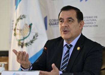 MAGA destaca avances significativos en proceso de transición