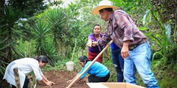 Más de 250 mil guatemaltecos beneficiados con el programa Estipendio Agropecuario. / Foto: MAGA.