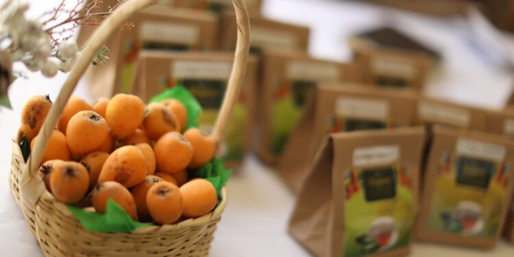 Invitan al Festival del Níspero en la Antigua Guatemala. / Foto: DCA.