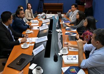 Segeplan lleva a cabo la quinta reunión sectorial de transición