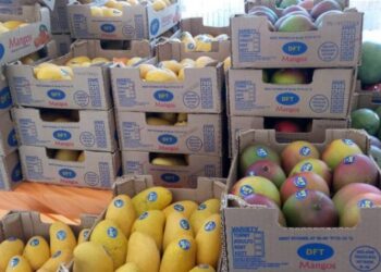 Visar en línea es una plataforma del MAGA que agiliza los procesos de importación y exportación. / Foto: DCA.