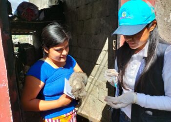 Vecinos de Ciudad Real vacunaron a sus mascotas contra la rabia. /Foto: MSPAS