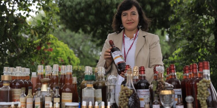 Fondo de Desarrollo fomenta el crecimiento de las mipyme. /Foto: SCSPR