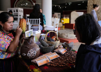 Actividades de la Ruta del Emprendedor para esta semana. /Foto: DCA.