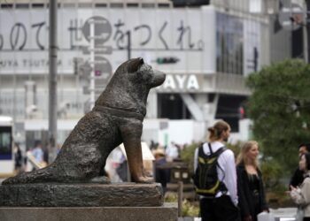 Turistas hacen fila para tomarse foto con la estatua de Hachiko. / Foto: EFE.