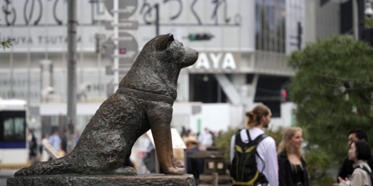 Turistas hacen fila para tomarse foto con la estatua de Hachiko. / Foto: EFE.