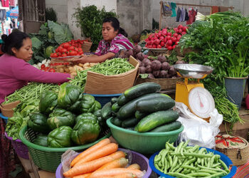 El INE hizo una minuciosa recolección de precios de bienes y servicios en más de 9 mil puntos de venta al por menor. / Foto TGW.