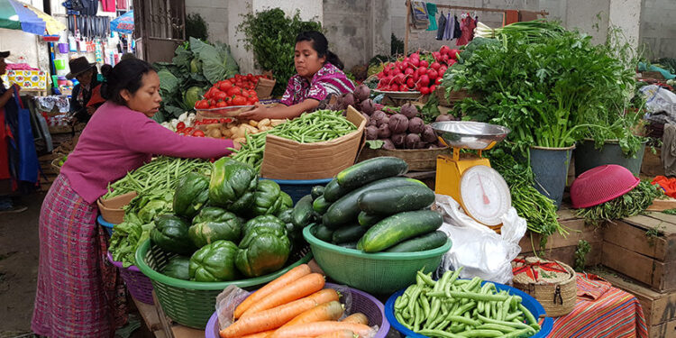 El INE hizo una minuciosa recolección de precios de bienes y servicios en más de 9 mil puntos de venta al por menor. / Foto TGW.