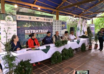 Conferencia de Prensa coordinación institucional, ciudad de Guatemala. / Foto: Álvaro Interiano.