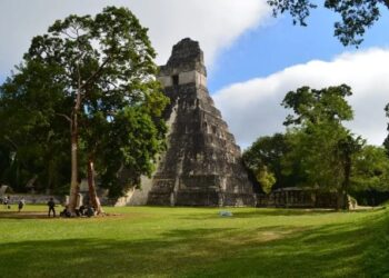 Parque nacional Tikal ubicado en el departamento de Petén.// Foto: Conap.