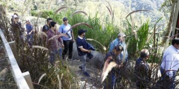 viernes de parques 2