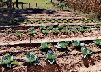 Sistema de captación de agua de lluvia beneficiará a pobladores de Huehuetenango