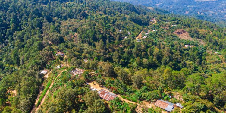 Más de 800 beneficiados con introducción de energía eléctrica en San Pedro Pinula, Jalapa