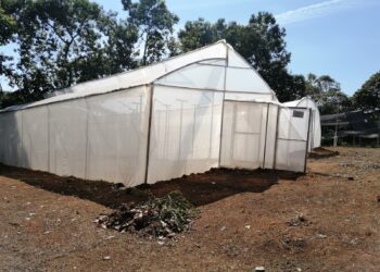 Entregan Escuela Técnica de Campo para la alimentación escolar en Malacatán, San Marcos