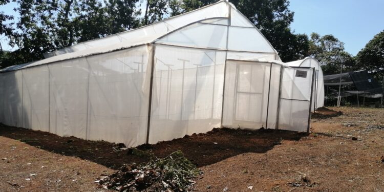 Entregan Escuela Técnica de Campo para la alimentación escolar en Malacatán, San Marcos