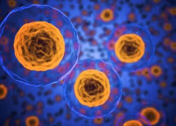 Identifican un subtipo de células inmunes que permite tratar la arteritis