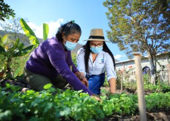 Transformación agrícola: Más de 1.6 millones de campesinos han sido capacitados
