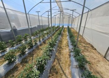 Entregan Escuela Técnica de Campo para la alimentación escolar en San Pedro Pinula, Jalapa