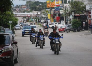 Operativo policial: 55 detenidos y decomiso de armas