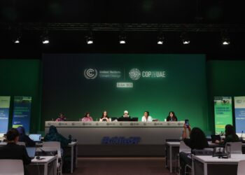 Guatemala presente en la COP28. /Foto: MARN