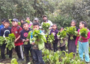 Recogen cosecha del primer huerto escolar en Chiloxis, Santiago Sacatepéquez