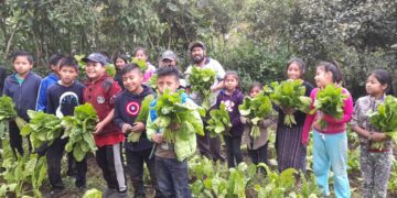 Recogen cosecha del primer huerto escolar en Chiloxis, Santiago Sacatepéquez