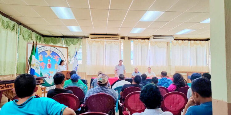 Éxito en el IV Diplomado de Apicultura Tropical en Petén