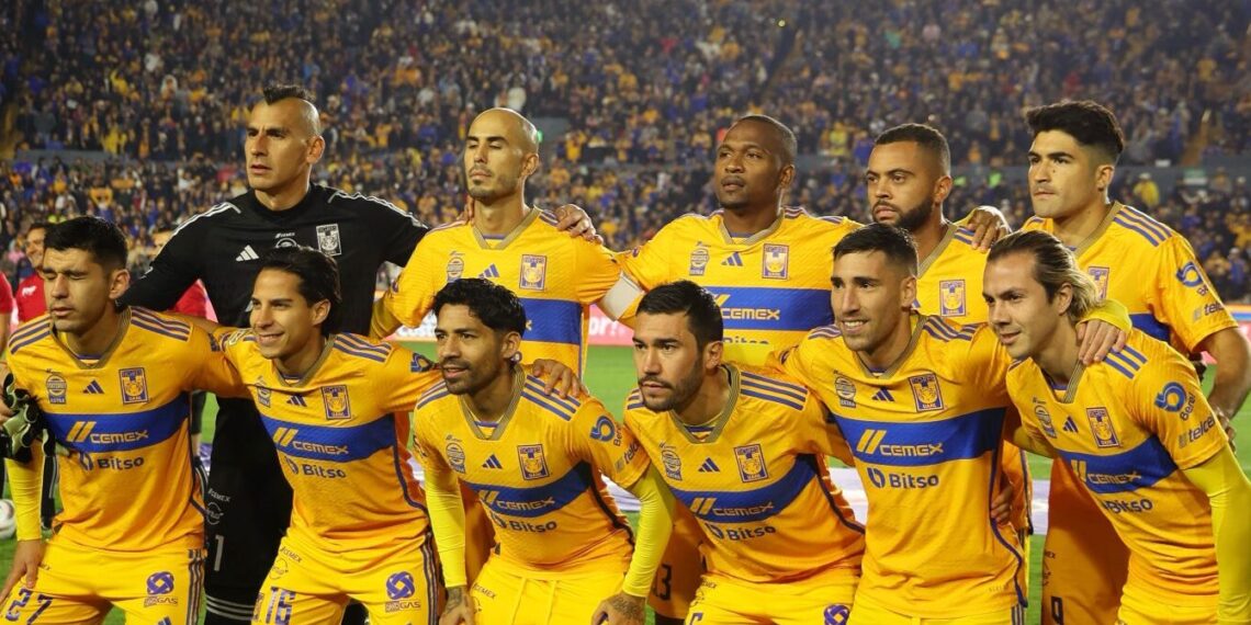 tigres pumas