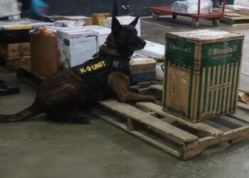 Desarticulan red de narcotráfico y decomisan drogas valoradas en 10 mil 125 quetzales