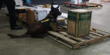 Desarticulan red de narcotráfico y decomisan drogas valoradas en 10 mil 125 quetzales