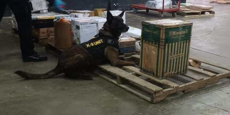 Desarticulan red de narcotráfico y decomisan drogas valoradas en 10 mil 125 quetzales