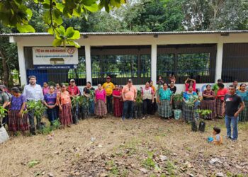 MAGA beneficia a 100 familias de Izabal con plantas de aguacate