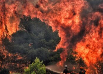 Diseñan un robot para apagar incendios inspirado en los dragones voladores