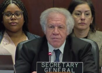 Luis Almagro, secretario general de la OEA destaca avances de las reuniones sectoriales de transición