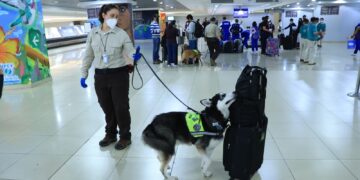 MAGA inspeccionó más de 77 millones de toneladas de productos con equipo canino. / Foto: MAGA.