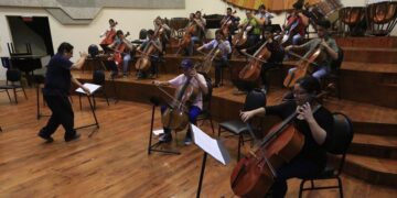 arte del violoncello