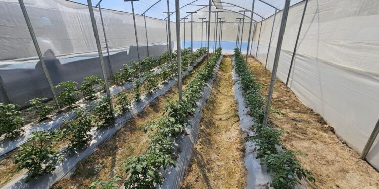 Entregan Escuela Técnica de Campo para la alimentación escolar en Malacatán, San Marcos