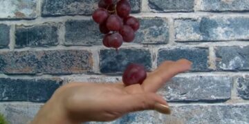 Conozca las formas curiosas y extravagantes para recibir el Año Nuevo